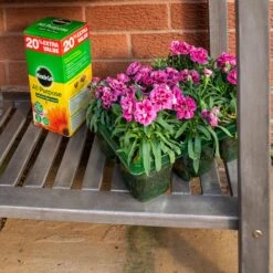 Rowlinson Alderley Raised Planter -XIKI Garden Shop ROALDRAPL7