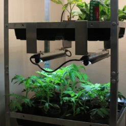 Seed Tray Rack Lighting Kit -XIKI Garden Shop STRLB7