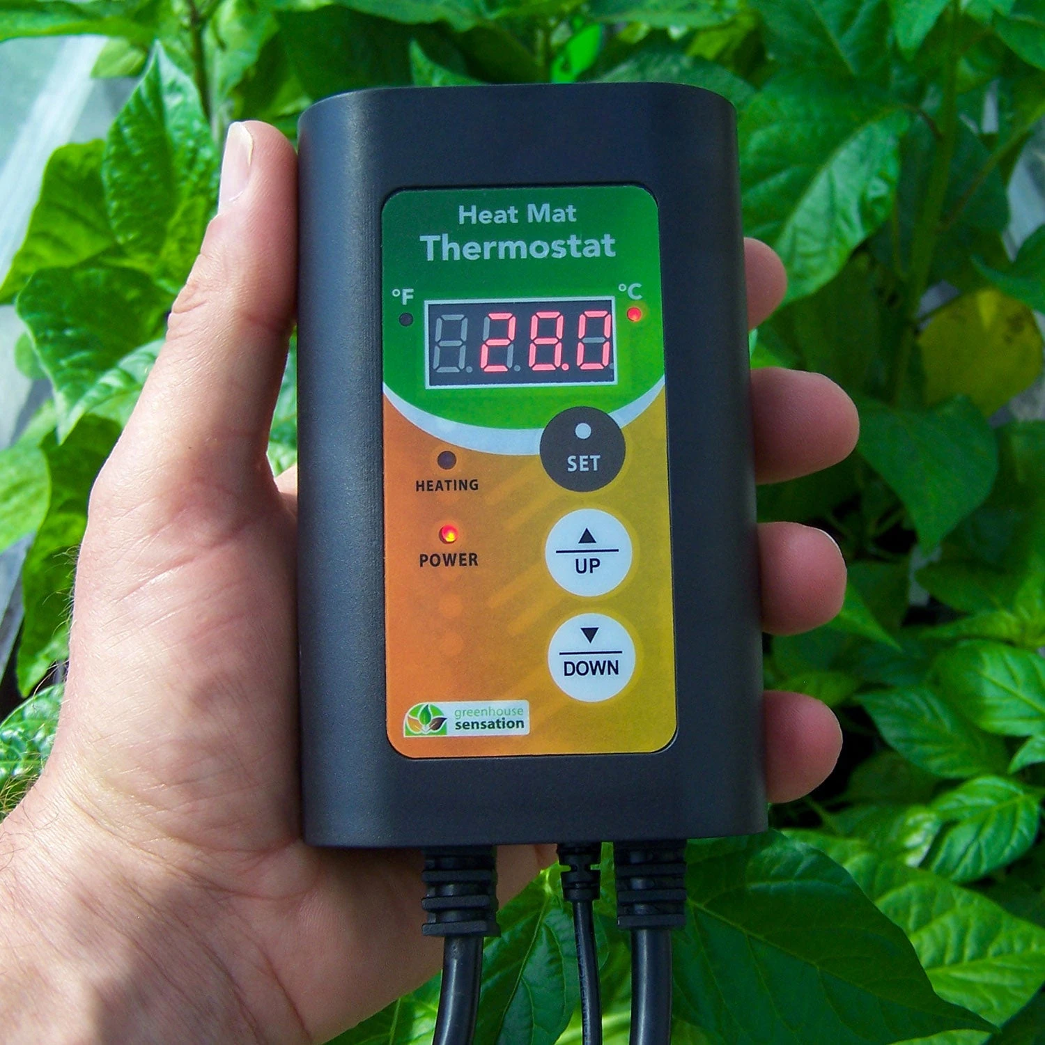 Heat Mat Digital Thermostat 2 Heat Mat Digital Thermostat - Image 2