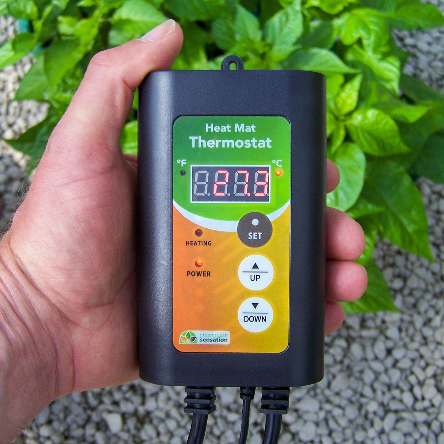 Heat Mat Digital Thermostat 1 Heat Mat Digital Thermostat