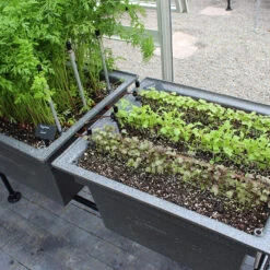 Ergrownomics - Two Planter Set 11 Ergrownomics - Two Planter Set -XIKI Garden Shop TWP2