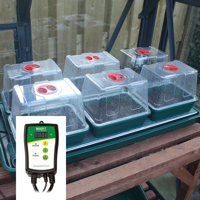 VariTemp Heated Propagator 4 VariTemp Heated Propagator - Image 4