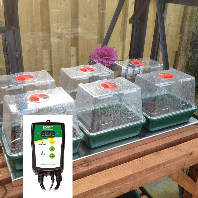 VariTemp Heated Propagator 2 VariTemp Heated Propagator - Image 2