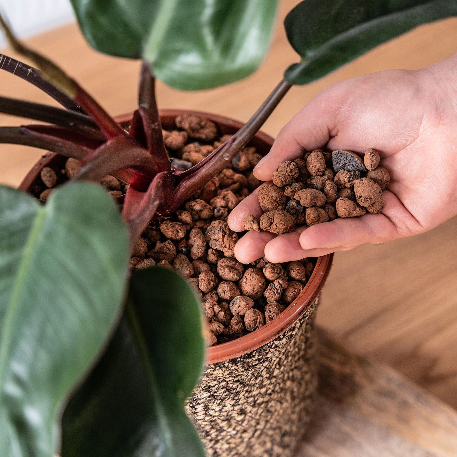 Gro-Sure Hydroleca 10 Litre Bag 4 Gro-Sure Hydroleca 10 Litre Bag - Image 4