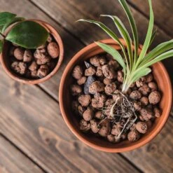 Gro-Sure Hydroleca 10 Litre Bag 9 Gro-Sure Hydroleca 10 Litre Bag -XIKI Garden Shop WLGSH105