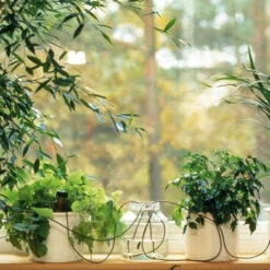 Blumat Automatic Pot Plant Waterers 7 Blumat Automatic Pot Plant Waterers -XIKI Garden Shop bappw3 1