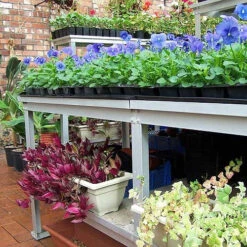 Commercial Bench - Two Tier 11 Commercial Bench - Two Tier -XIKI Garden Shop cbtt3