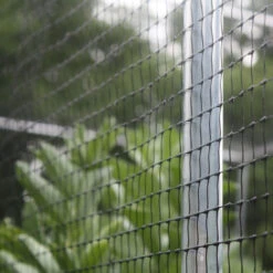 Heavy Duty Fruit Cage -XIKI Garden Shop hdc5 1