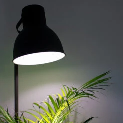 E27 LED Light Bulb 9 E27 LED Light Bulb -XIKI Garden Shop hgrilb6