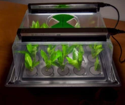 Hydropod Propagator -XIKI Garden Shop hycp7 4