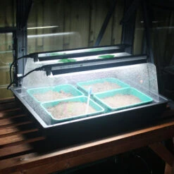 Monotop Propagator -XIKI Garden Shop image 100071