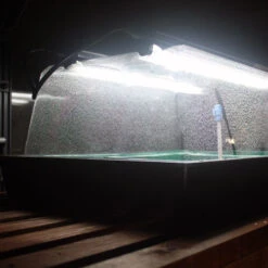 Monotop Propagator -XIKI Garden Shop image 100072