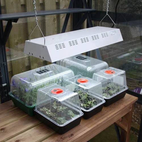 Maxibright Propagation Lights 1 Maxibright Propagation Lights