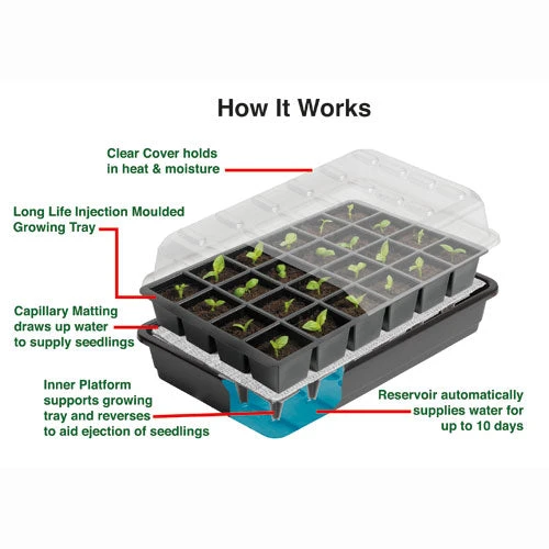 Self Watering Seed Success Kit 3 Self Watering Seed Success Kit - Image 3