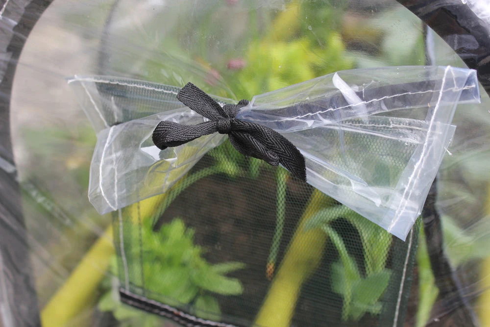 Vigoroot Easy Table Garden 2 Vigoroot Easy Table Garden - Image 2