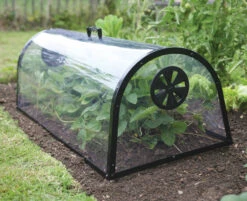 Kitchen Garden Cloche -XIKI Garden Shop image 103131