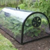 Kitchen Garden Cloche