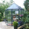 Palram Canopia Oasis Hexagonal 8ft Greenhouse