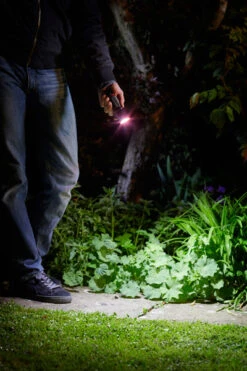 Mega-Beam Torch -XIKI Garden Shop image 108201