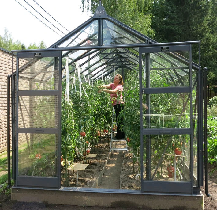 Elite Titan 800 Package Deal 2 Elite Titan 800 Package Deal - Image 2