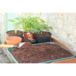 Coir Compost Block -XIKI Garden Shop image 137051
