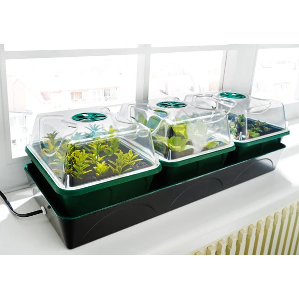 Bio Green Hollandia Self Watering Propagator 1 Bio Green Hollandia Self Watering Propagator