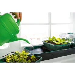 Bio Green Hollandia Self Watering Propagator 7 Bio Green Hollandia Self Watering Propagator -XIKI Garden Shop image 137059