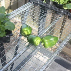 Greenhouse Integral Staging -XIKI Garden Shop image 138311