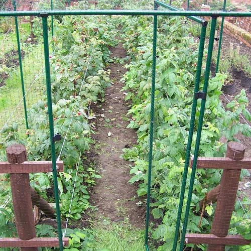 Deluxe Fruit Cage Door 1 Deluxe Fruit Cage Door