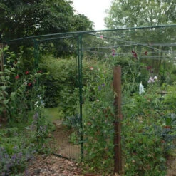 Deluxe Fruit Cage Door 7 Deluxe Fruit Cage Door -XIKI Garden Shop image 139360