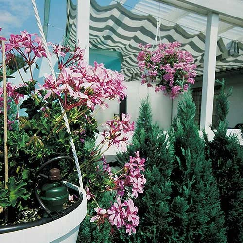 Tropf Blumat Mains Kit - Fitting To 19mm Threaded Tap 1 Tropf Blumat Mains Kit - Fitting To 19mm Threaded Tap