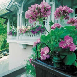 Tropf Blumat Mains Kit - Fitting To 19mm Threaded Tap 11 Tropf Blumat Mains Kit - Fitting To 19mm Threaded Tap -XIKI Garden Shop image 139452