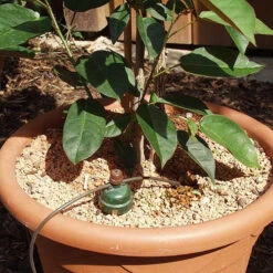 Tropf Blumat Tank Kit -XIKI Garden Shop image 139460