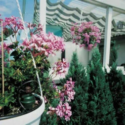 Tropf Blumat Tank Kit -XIKI Garden Shop image 139461