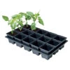Shuttle Trays With Square Pots