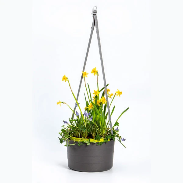 Urbalive Berberis Hanging Bowl 1 Urbalive Berberis Hanging Bowl