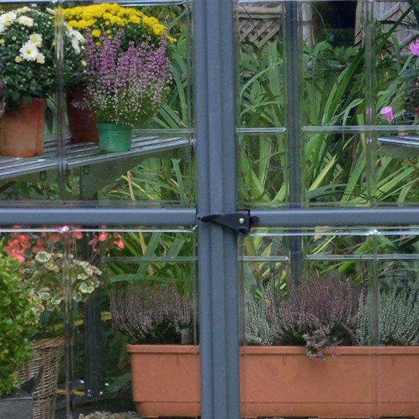 Palram Canopia Oasis Hexagonal 8ft Greenhouse 5 Palram Canopia Oasis Hexagonal 8ft Greenhouse - Image 5