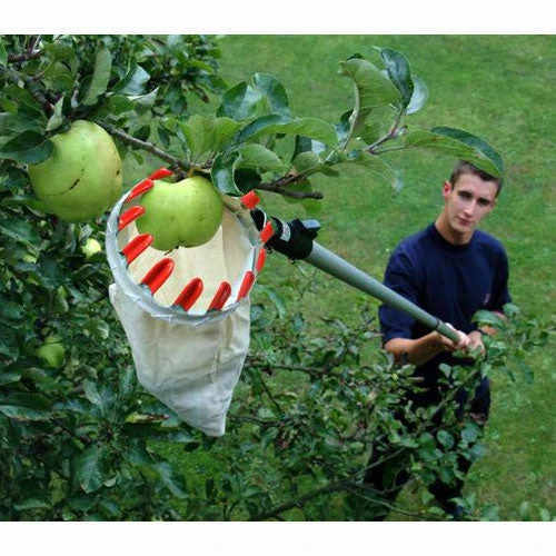 Darlac Swop Top SetPlant Care Set 1 Darlac Swop Top SetPlant Care Set