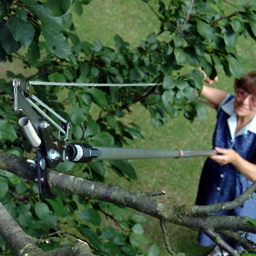 Darlac Swop Top SetPlant Care Set 5 Darlac Swop Top SetPlant Care Set - Image 5