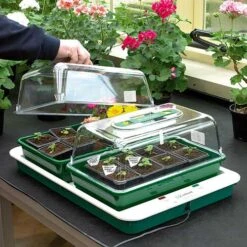 Fixed Temperature Propagator
