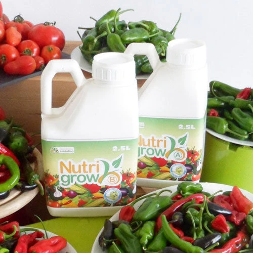 Nutrigrow Plant Food 1 Nutrigrow Plant Food
