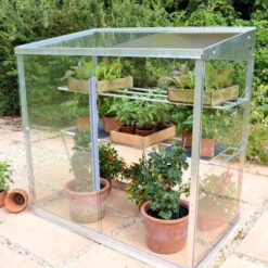 Access Midi Growhouse 7 Access Midi Growhouse -XIKI Garden Shop image 64334