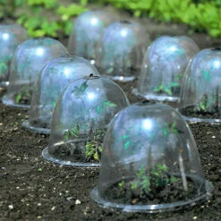 Baby Bells Pack Of 3 -XIKI Garden Shop image 65782