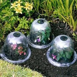 Baby Bells Pack Of 3 -XIKI Garden Shop image 65784
