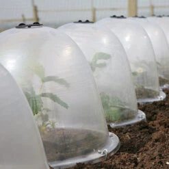 Pack Of 3 Popular Bells -XIKI Garden Shop image 65855