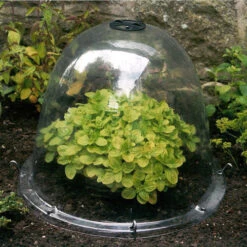 Pack Of 3 Popular Bells -XIKI Garden Shop image 65858