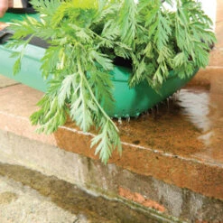 Colander Trug -XIKI Garden Shop image 65945