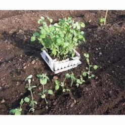 Compact Plant Trainer 14 Compact Plant Trainer -XIKI Garden Shop image 65988