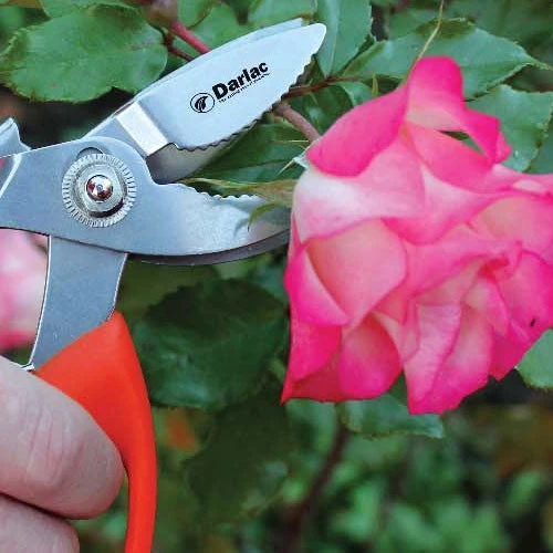 Cut-n-Hold Pruner 2 Cut-n-Hold Pruner - Image 2