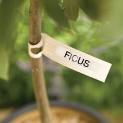 Electronic Garden Labeller -XIKI Garden Shop image 83169